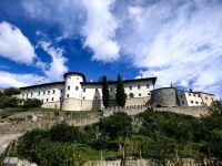 Die Stadtmauern von Stanjel