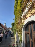 Künstlerstädtchen Szentendre 1