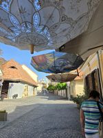 Künstlerstädtchen Szentendre 6