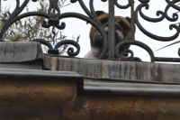 Wir werden beobachtet!