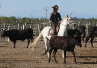 Trennung von der Herde