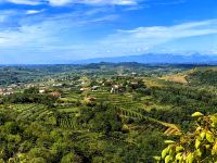 Blick auf die Weinregion Brda