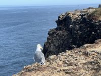 Cabo Sao Vicente (5)