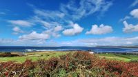 Donegal