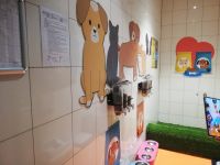 Hunde- und Katzenklo auf Istanbuler Flughafen, Türkei 