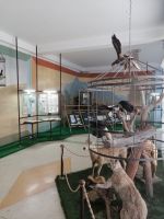 Im Przewalski-Museum in Karakol