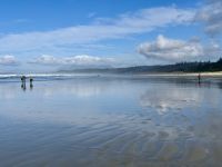 15. Tag – Pacific Rim National Park Reserve – 1. Aufenthalt am Long Beach