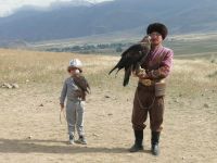 Vorführung der Greifvögel-Jagd: die Berkuttschi