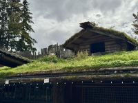 16. Tag – Tofino bis Victoria – Mittagspause beim Old Farmers Market in Coombs