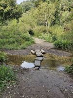 Beginn des Spaziergangs in St. Cathrine Woods