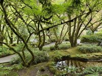 17. Tag – Victoria bis Vancouver – Besuch der Butchart Gardens – Japanischer Garten