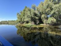 Im Donaudelta