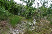 Tag 2 16.09.2024 Wanderung rund um die Saarschleife 