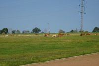 Tag 5 19.09.2024 Wanderung auf dem Römerpfad  