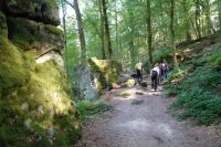 Tag 6 20.09.2024 Wanderung Müllerthal (Lux) 