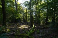 Tag 7 Wanderung auf dem Premiumwanderweg Dollbergschleife   