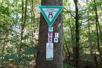 Tag 7 Wanderung auf dem Premiumwanderweg Dollbergschleife   