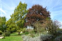 Tag 8 22.09.2024 Heimreise, Herbststimmung im Kurpark