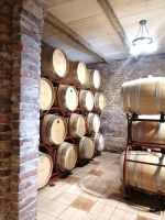 Blick in den Weinkeller