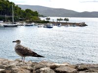 Ausblick von der Stadt Krk