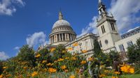 St. Pauls Kathedrale