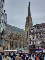 2024 Donaukreuzfahrt: Wien - Stephansdom