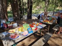 Picknick im Yosemite NP