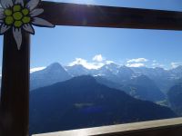 Schynige Platte, Blick auf das Lauterbrunnental, Jungfrau, Mönch und Eiger (von rechts)