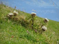 Herbstidylle ...