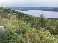 Blick vom Bell Museum