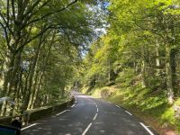 im Nationalpark Frankenthal-Missheimle