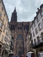 Blick auf das Münster