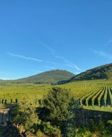 Blick zurück auf die Hohkönigsburg