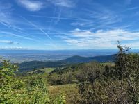 Blick nach Osten