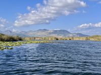 Tag 6 - Bootstour durch das Neretva-Delta