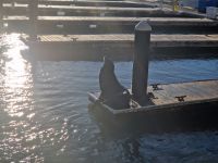 Fishermans Wharf