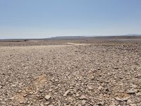 Tag 5 - Spuren einer Schotterpiste durch die Wüste