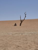 Tag 8 - Sossusveli - Dead Vlei IV