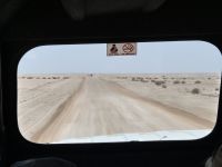 Tag 9 - Fahrtimpression II