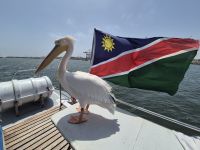 Tag 10 - Katamaranfahrt - Bild mit Symbolcharakter