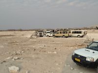 Tag 13 - Etosha NP - Eindrücke VII - Der Kampf um die besten Plätze