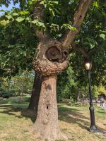 41. Central Park, New York