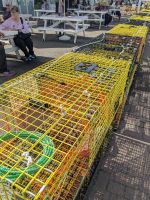 101. Lobster in Kennebunkport, maine, USA