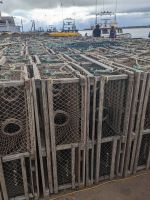 130. NCL-Ausflug in Charlottetown, Prince Edward Island, Kanada