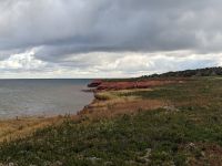 135.  NCL-Ausflug in Charlottetown, Prince Edward Island, Kanada