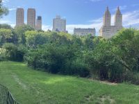 New York filmreif….