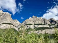 Wo sind die Bergziegen ? 