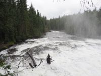 P8270115.JPG, bei den Dawson-Wasserfällen
