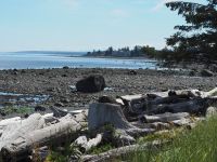 P1010425.JPG, direkt am Wasser bei Ebbe