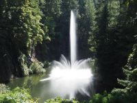 P1010490.JPG, die unterschiedlichen Formationen der Fontäne könnte man stundenlang beobachten